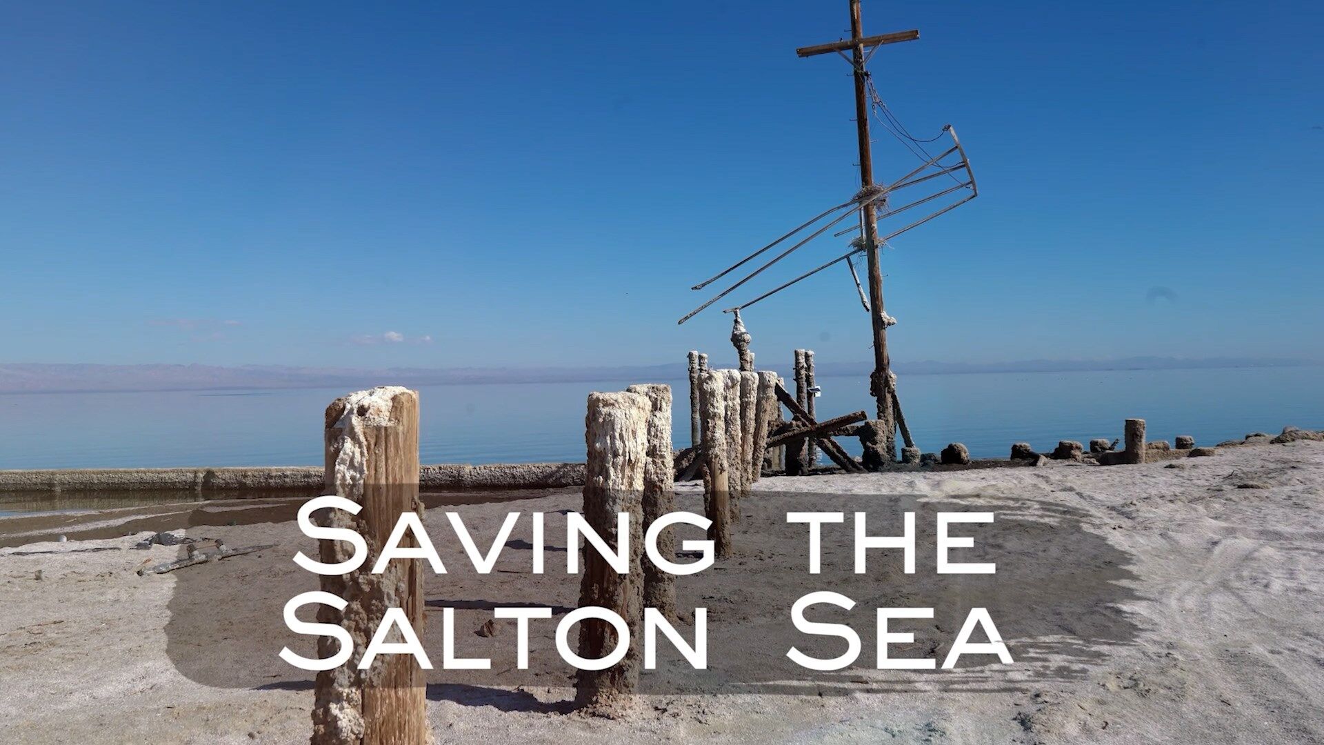 Saving the Salton Sea series_1